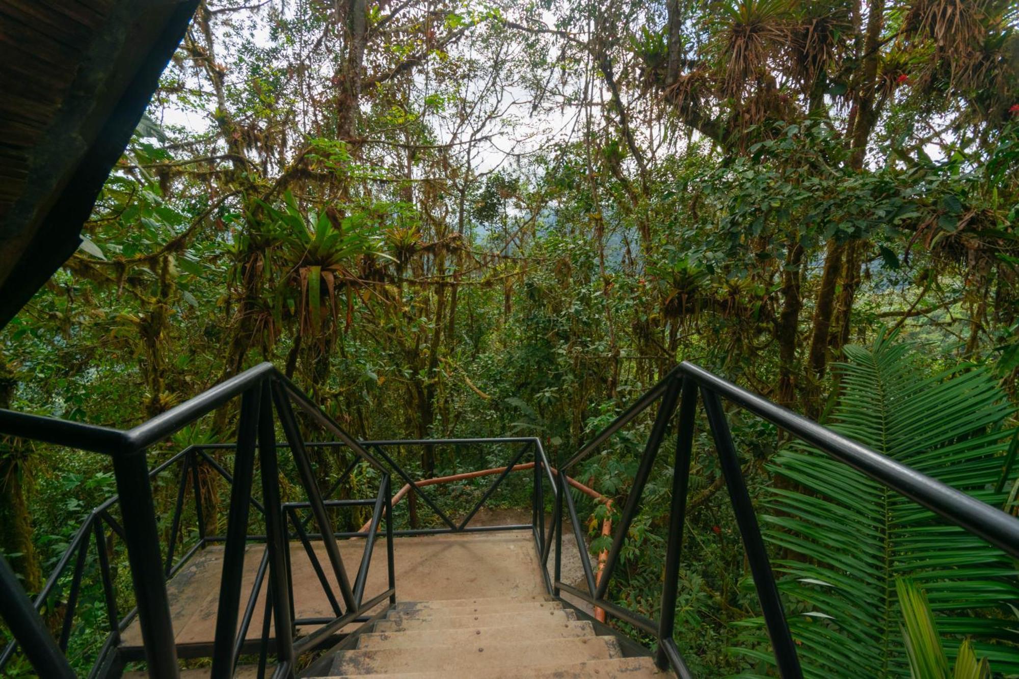 Bellavista Cloud Forest Lodge & Private Protected Area Tandayapa エクステリア 写真