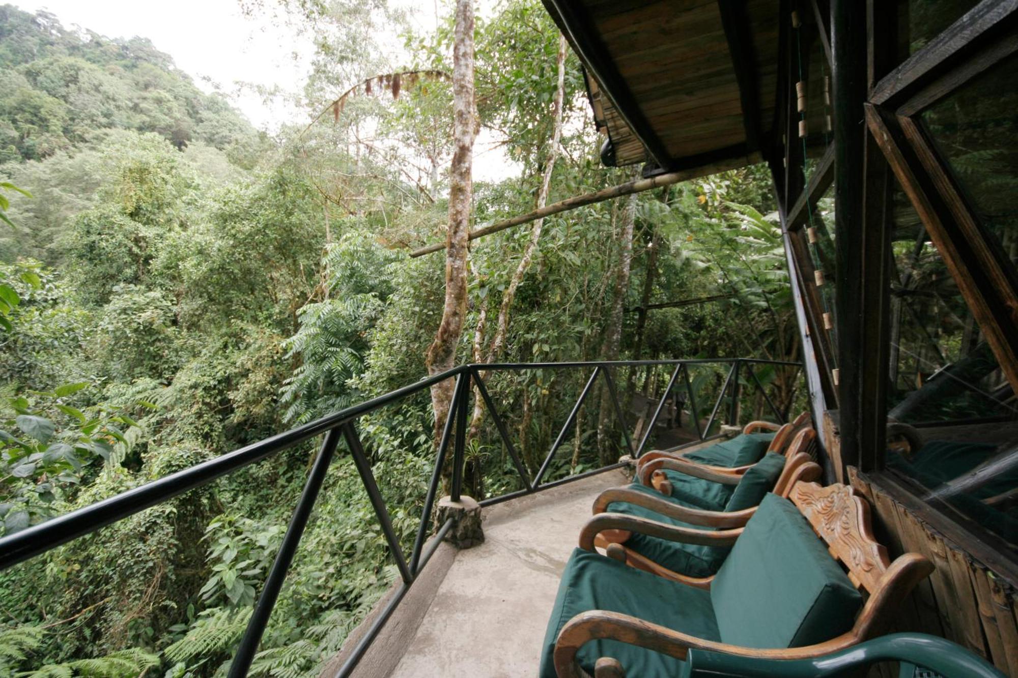 Bellavista Cloud Forest Lodge & Private Protected Area Tandayapa エクステリア 写真