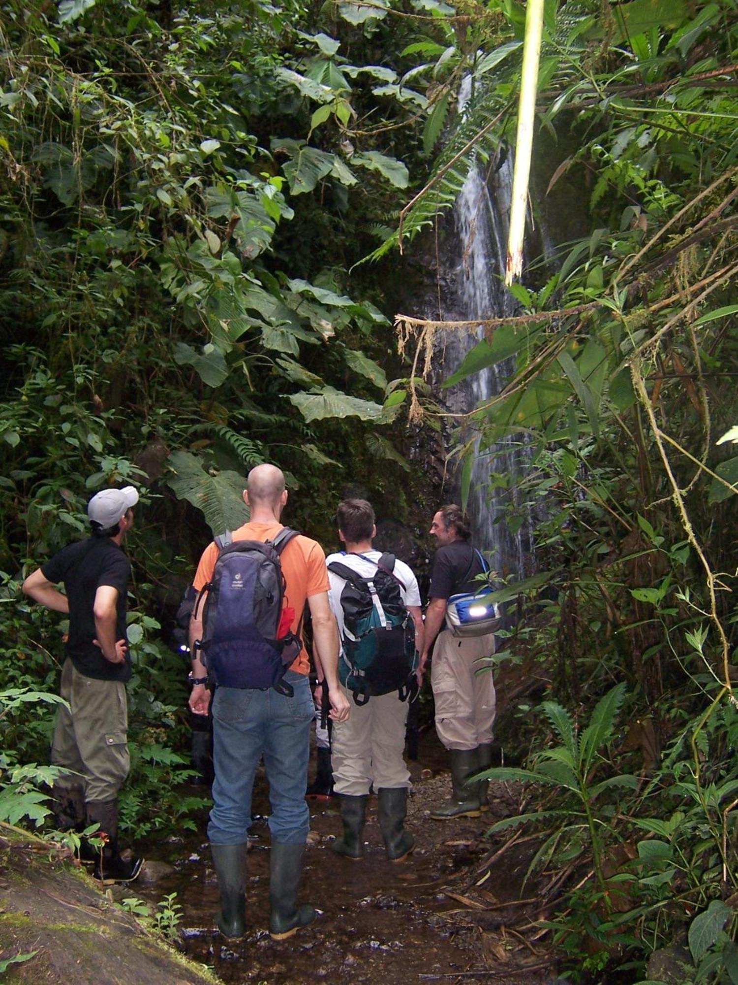 Bellavista Cloud Forest Lodge & Private Protected Area Tandayapa エクステリア 写真