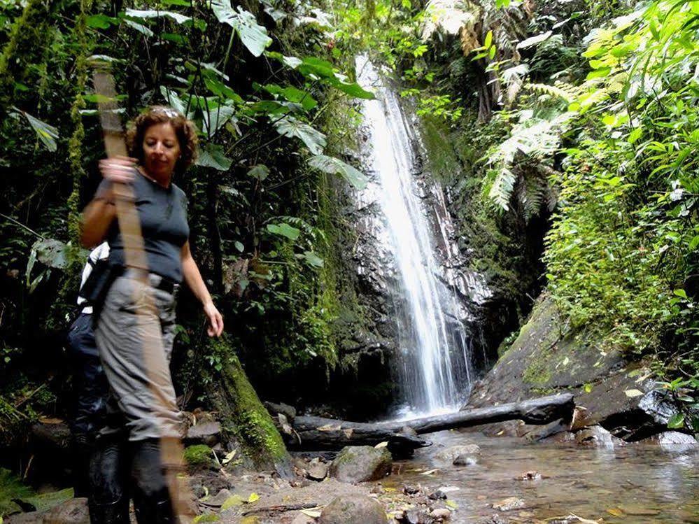 Bellavista Cloud Forest Lodge & Private Protected Area Tandayapa エクステリア 写真