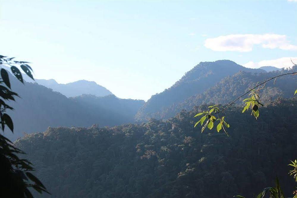 Bellavista Cloud Forest Lodge & Private Protected Area Tandayapa エクステリア 写真